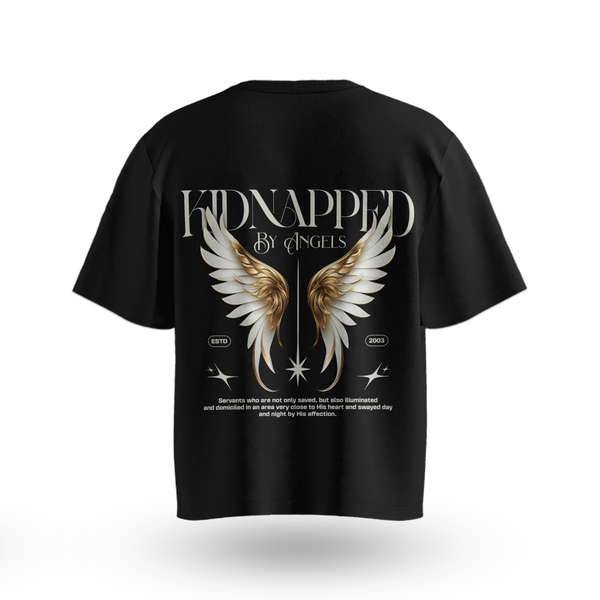 Kidnapped by Angels T-Shirt